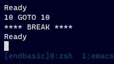 Execution of 10 GOTO 10 followed by a CTRL+C interrupt to stop the infinite loop.