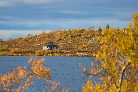 A small cabin by a grey-blue lake surrounded by yellow-golden vegetation. The camera looks through blurred leaves in the foreground that frame the cabin. The sky is cloudy and has a steel-blue colour that is a bit lighter than the water.