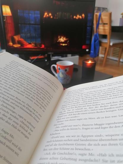 Im Vordergrund ist ein aufgeschlagenes Buch. Im Hintergrund steht ein Bildschirm, auf dem ein Kaminfeuer zu sehen ist, sowie eine Kerze und eine Teetasse.