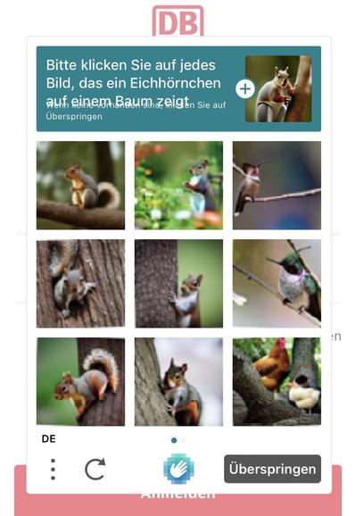 Captcha mit Eichhörnchen-Bildern