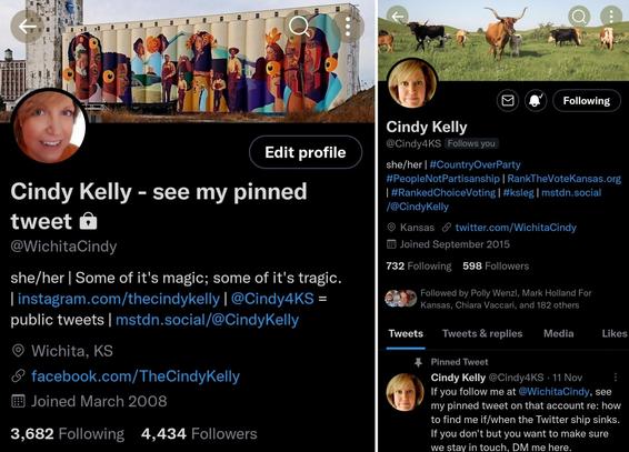 Collage of screenshots of the bio & header of two Twitter accounts