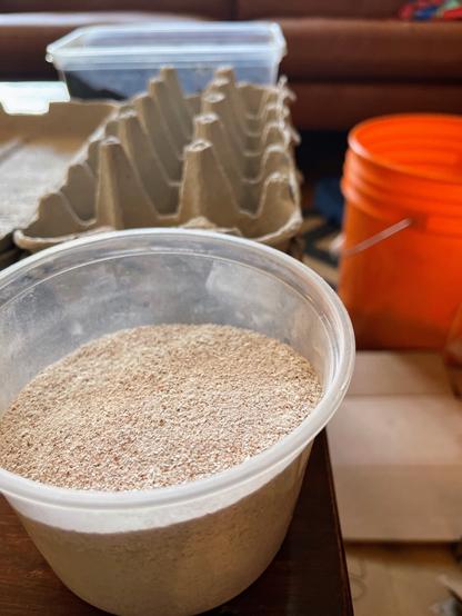 Close-up of ground eggshells, egg carton in background.