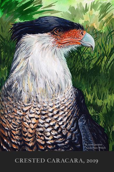 A gouache portrait (head and chest) of a crested caracara facing to the right, in front of a background of loosely painted dense green foliage.  Painted in 2019