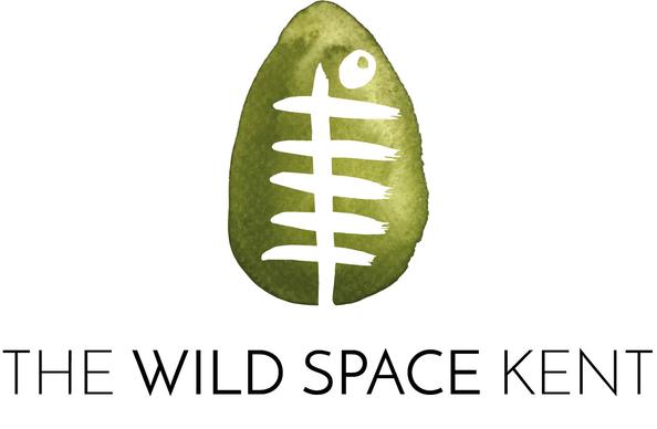 Logo for The Wild Space Kent project. A green 'seed' with the wording 'The Wild Space Kent'