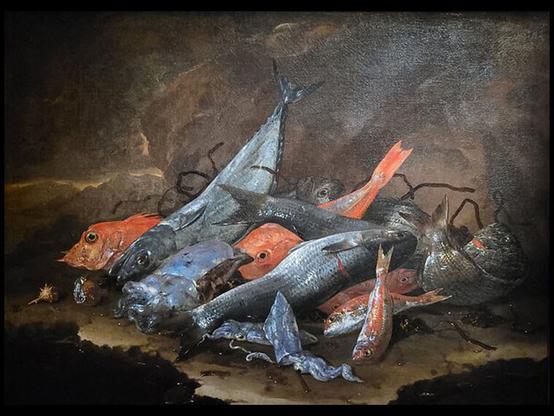 Natura morta con Pesci e Mollusch par Giuseppe Recco @Andrea Travaglini