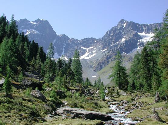 Hochgebirge im Hintergrund, Gletscherbach schlängelt sich durch Nadelwald. Tiefenthal-Alm, Pitztal, Tirol.