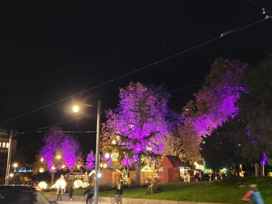 Hell erleuchtete Weihnachtsmarktstände im Colombipark mit lila erleuchteten Bäumen.