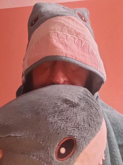 Stofftier in Form eines Blauhais wird von mir gehalten. Ich trage ein Blauhai Kinderhandtuch über den Kopf