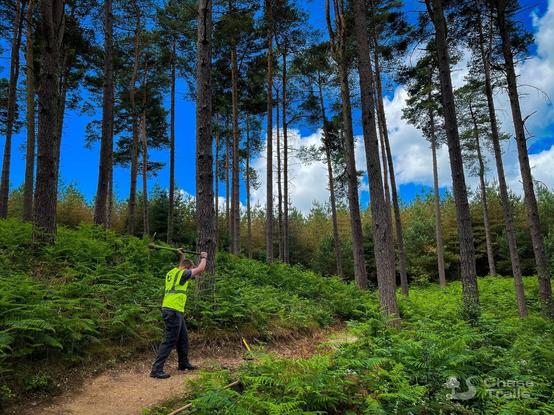 A mountain bike trail in a forest with blue skies. A man has a pick axe raised above his head ready to swing it down to break up the trail surface.