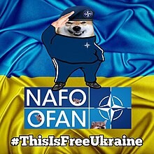 upright standing shiba inu dog dressed in nato colors and berret saluting 

ukraine flag in background
text nafo ofan this is free ukraine