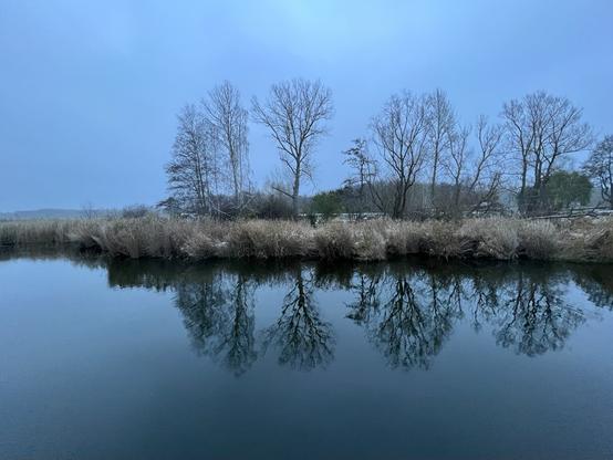 Laublose Bäume spiegeln sich im stillen Achterwasser der Insel Usedom