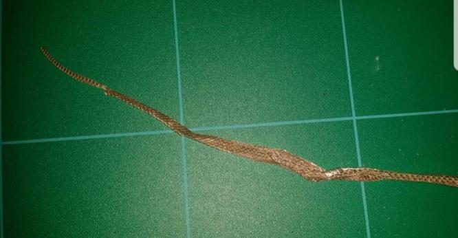 A shed snake skin lying on a counter.