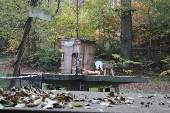 Cover Biesentales 60, parts of a concrete ping pong table in the foreground, covered by autumn leaves. Another stands fully visible a few meters behind, a plastic baby on its back and a slightly bigger, self-made wooden horse on the table surface. 
Partly obfuscated and 10 meters behind we see a wooden hut, similar to an outhouse, surrounded by bushes and trees.