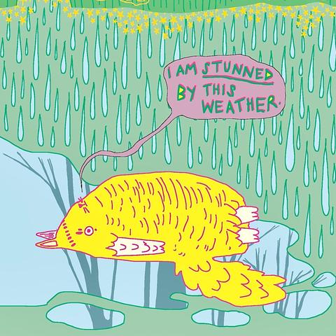 An illustration of a yellow cat lying down in a puddle of water. It is raining in he background and the cat is saying ‘I am stunned by this weather.’ The background is pale green and the rain and the puddle are pale blue. There are a few stars at the top of the drawing, and there are trees reflected in the water of the puddle.