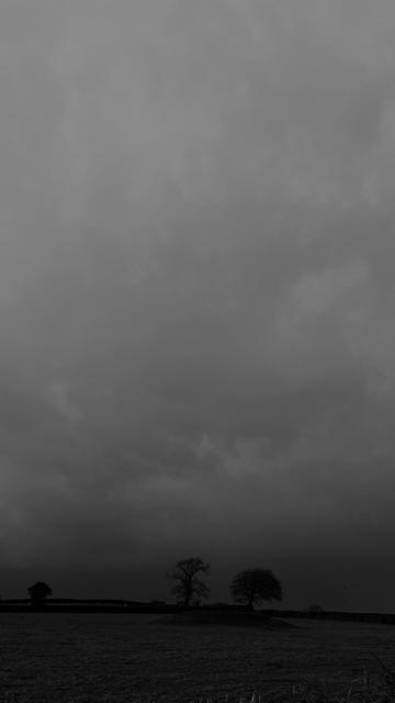 Two dark trees silhouetted against a brooding sky