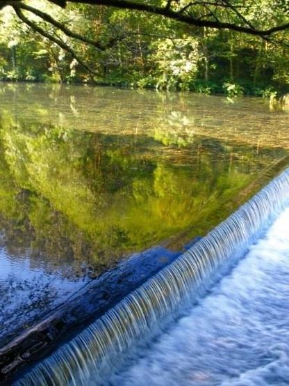 River running through the Fragas Do Eume forest in Galicia, Northwestern Spain.
