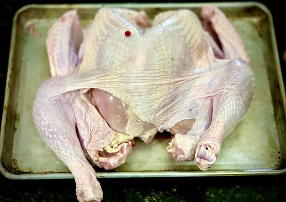 Turkey on baking sheet, backbone removed