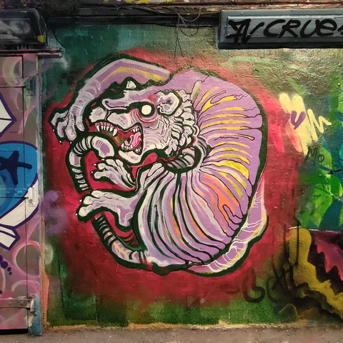 Graffiti Dragon