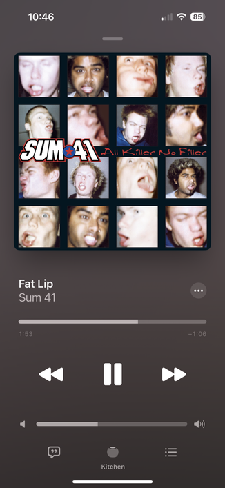 Sum 41 fat lip album art