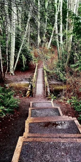 Steps down to a footbridge, hiking trail. Autumn, leaves & forest scene.