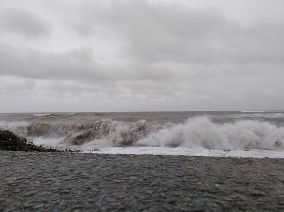A view over a seawall to rough waves breaking on the shore beyond. There's the edge of a patch of driftwood on the left.