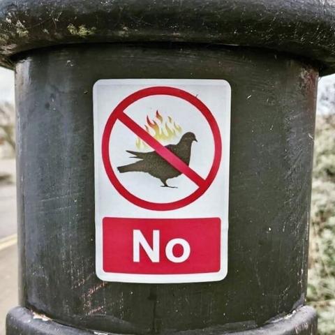 Sign with seemingly flaming pigeon that has a circle around it, a line through it, and “No” underneath.