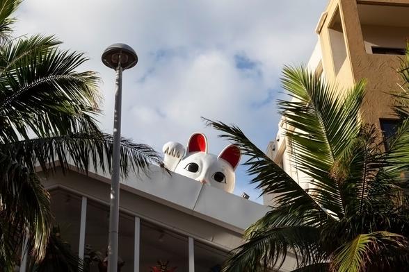 A view from street level looking up at the pointed roof of a commercial property partly obscured by palm trees and a street light with hemispherical lamp fitting. To the right of the triangular property is a sandstone, more rectangular building, a little higher, but obscured by more palm tree leaves. Dead centre, on the sloping roof of the main building, seeming to peer over the top is the huge head and beckoning paw of a Maneki-neko, the Japanese lucky cat with white face and red ears. The sky is cloudy with breaks of blue sky, but the general lighting indicates that most of the image is lit by hazy sunshine.