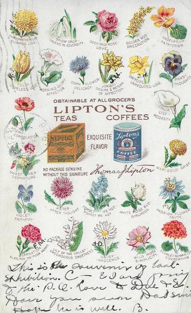 Lipton's Teas and Coffees Vintage Advertising Postcard, stamp dated 1908. Depicts 25 hand drawn flowers. Each flower is associated with an idea: For example: marigold and grief, aster and afterthought, Lily of the Valley and unconscious sweetness. The center of the card contains a box of tea and a round box of coffee - both from Lipton.
