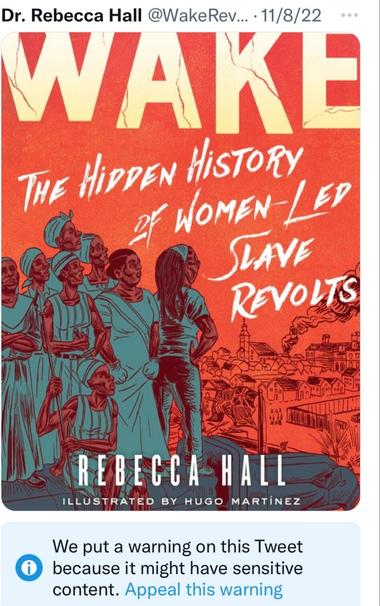 Bright red book jacket featuring resolute-looking illustrated Black women overlooking a city aflame. Title: WAKE:The Hidden History of Women-Led Slave Revolts. Author: Dr. Rebecca Hall. Illustrated by: Hugo Martinez