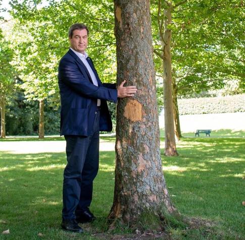 Söder neben einem Baum stehend. Seine Hände umgreifen den Baumstamm.