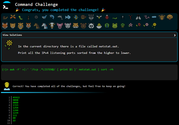 Last Command Challenge solved