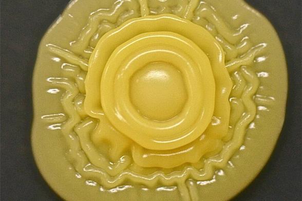 Yellow contaminant seen on an old TSA plate, circular raised ridges looking like a flower