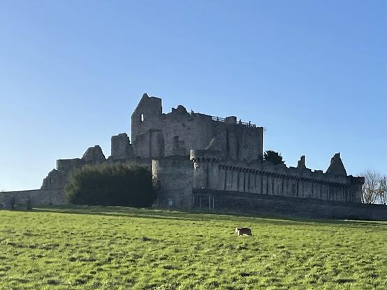 Craigmillar Castle with blue sky above and grass in front. It’s a large stone ruined castle.