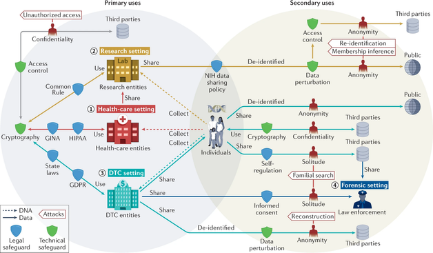 Flow chart of how genetic information is protected by legal and technical safeguards