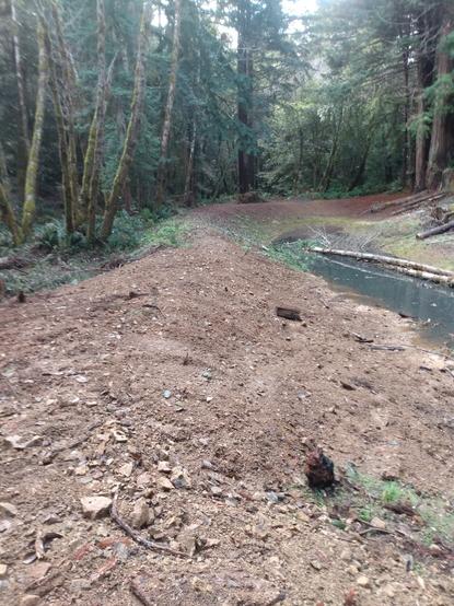 Experimental discharge pond, adjacent to creek, hoping to have increased water flows during summer.