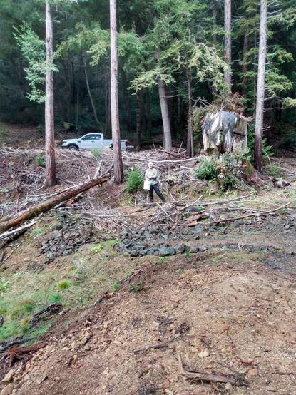 Jana spreading native California bunch grass seeds  at a stream recharge pond.