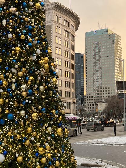 Densely decorated large Christmas tree close up. A white, curved building is tucked just behind across the street. There are taller buildings in the background and traffic going by.