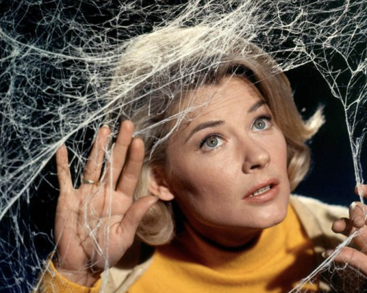 Hope Lange on The Ghost and Mrs. Muir in 1969.