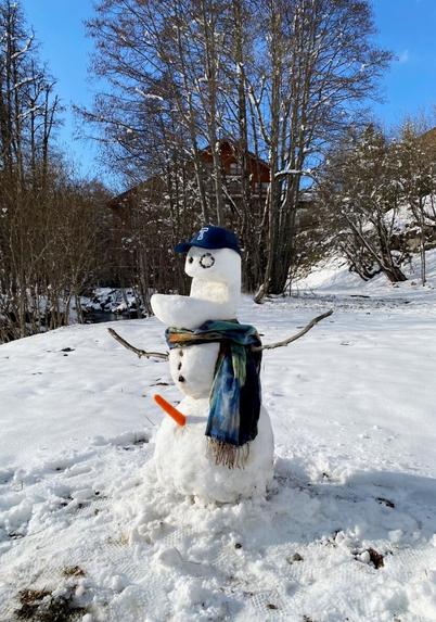 Funny Snowman