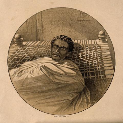 Licence: Public Domain Mark https://creativecommons.org/share-your-work/public-domain/pdm/

Credit: Theodore (Téwodros) II, Emperor of Ethiopia, on his death bed. Lithograph by James Ferguson after C.F. James. https://wellcomecollection.org/works/wjecckea

Wellcome Collection.