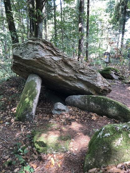 A damaged allee couverte, the orthostats of the gallery are tumbled and the capstone is fallen on one side. It's set in woodland with dappled sunlight falling on the mossy granite stones.