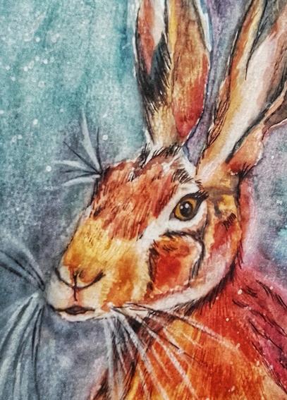 Hare - Original Watercolour