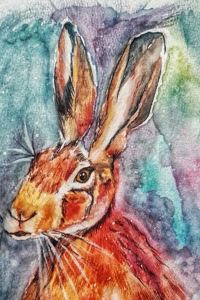 Hare - Original Watercolour