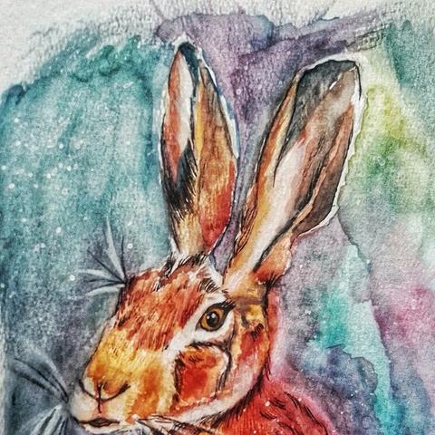 Hare - Original Watercolour