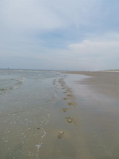 niederländischer Strand