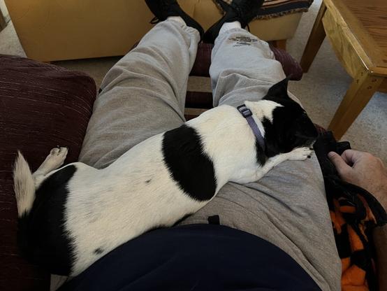 Zoey