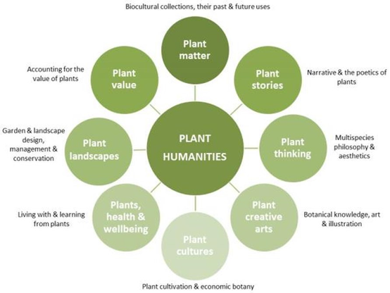 A thematic map of the Plant Humanities © Driver & Cornish 2021