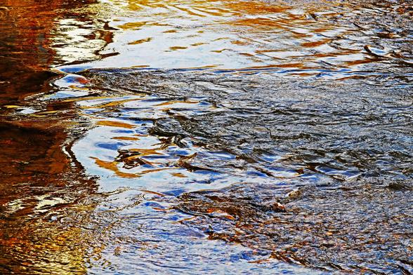 Hiking along the Speed River Trail in Guelph Ontario Canada is always a treat and a place where you will be assured of finding something new, different or interesting. The graffiti on the underside of the bridge cast a glowing golden light on the wavy shallow water and created a wonderful molten gold abstract with touches of brown to highlight the moving water over the rocks.