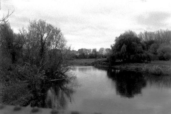 A black and white film photograph of a tree lined river landscape scene.
