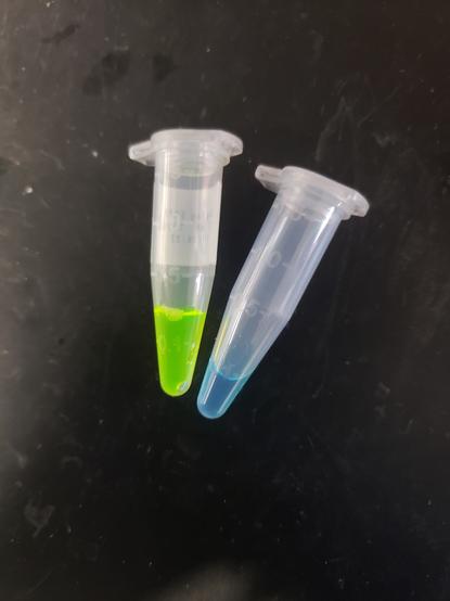 Colorful eppendorf tubes
